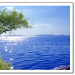 BetterPhoto Member