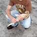BetterPhoto Member