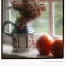 BetterPhoto Member