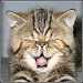 BetterPhoto Member