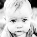 BetterPhoto Member