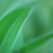BetterPhoto Member