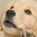 BetterPhoto Member