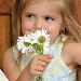 BetterPhoto Member