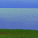BetterPhoto Member