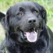 BetterPhoto Member