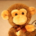 BetterPhoto Member