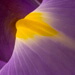 BetterPhoto Member