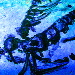 BetterPhoto Member