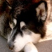 BetterPhoto Member