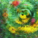 BetterPhoto Member