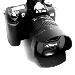 BetterPhoto Member