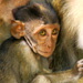 BetterPhoto Member