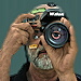 BetterPhoto Member