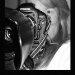 BetterPhoto Member