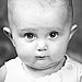 BetterPhoto Member