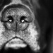 BetterPhoto Member