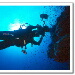 BetterPhoto Member