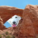 BetterPhoto Member