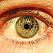 BetterPhoto Member