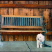 BetterPhoto Member