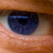 BetterPhoto Member