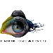 BetterPhoto Member