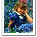 BetterPhoto Member
