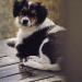 BetterPhoto Member