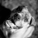 BetterPhoto Member