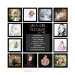 BetterPhoto Member