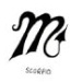 BetterPhoto Member