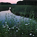BetterPhoto Member