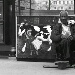 BetterPhoto Member
