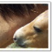 BetterPhoto Member