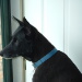 BetterPhoto Member Since: 9/13/2004