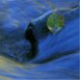 BetterPhoto Member
