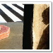 BetterPhoto Member