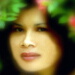 BetterPhoto Member