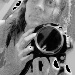 BetterPhoto Member
