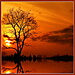 BetterPhoto Member