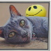 BetterPhoto Member