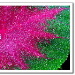BetterPhoto Member