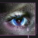 BetterPhoto Member
