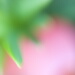 BetterPhoto Member