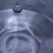 BetterPhoto Member