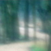 BetterPhoto Member