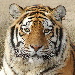 BetterPhoto Member