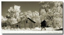 Longmont Barn in IR Sepia
