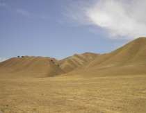 Lonely Hills